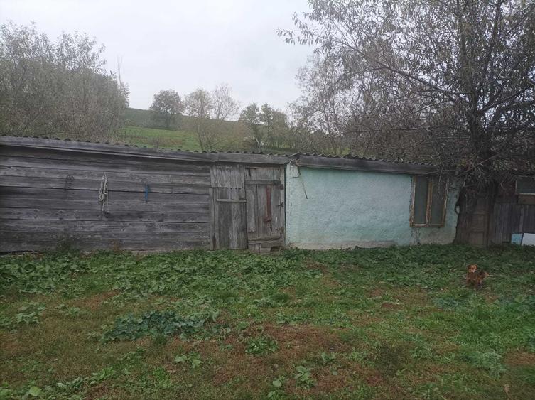 Casă cu 3 camere în Central