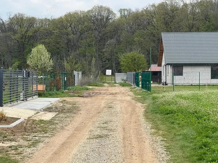 Teren de 1500 mp, în Ciolpani