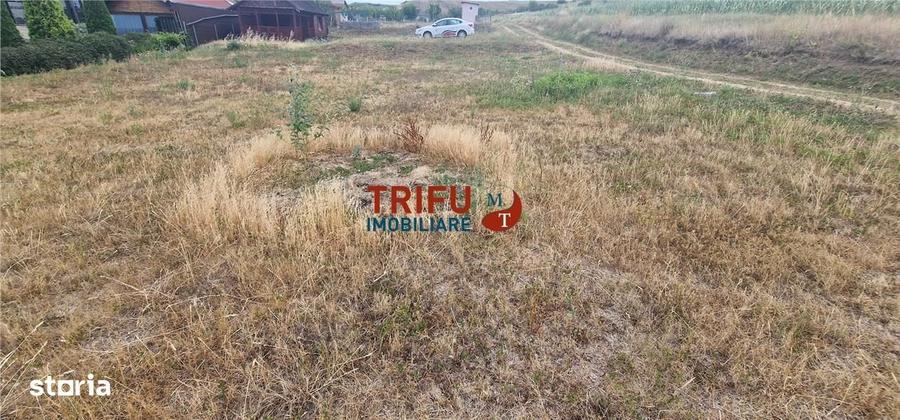 Spațiu comercial, în Șeușa