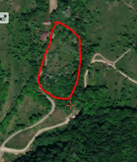 Teren de 10691 mp, în Hărțăgani
