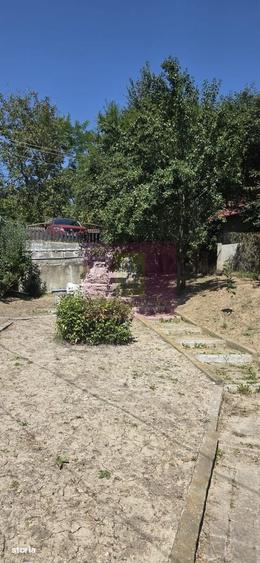 Cabana de lemn de vanzare in Telega - 20