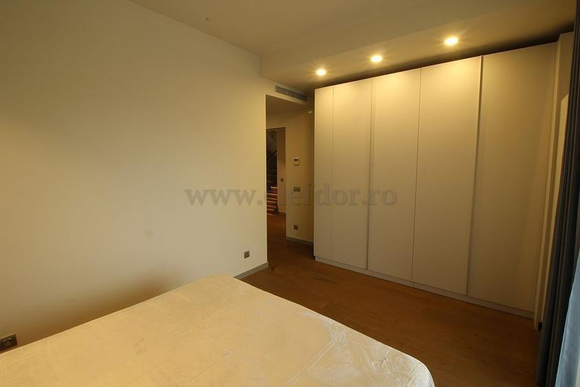Iancu Nicolae-British School duplex  - 3 dormitoare - 18