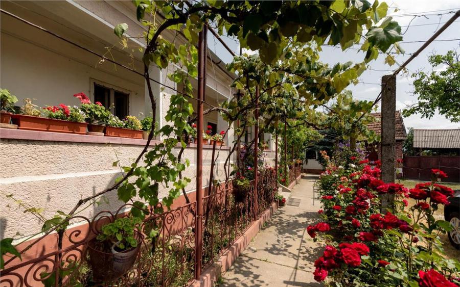 RECO Casa de Ineu - 4