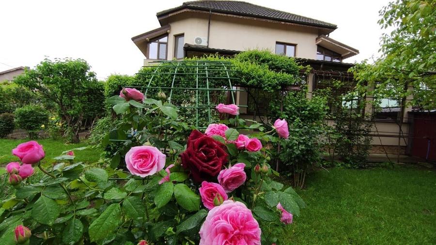 Vila individuala S+P+1+M - Matei Millo / 810mp teren - 2