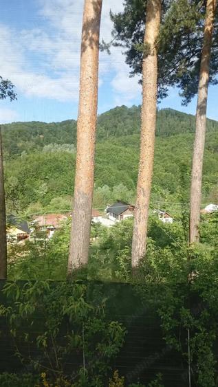 imobiliare CASA TEREN - 1