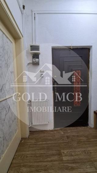 Vila parcul Tineretului- Sincai metrou-pentru 2 familii - 12