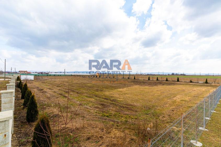 Teren 7.092 mp cu PUZ aprobat + Autorizatie / investiție autostrada A7 - 5