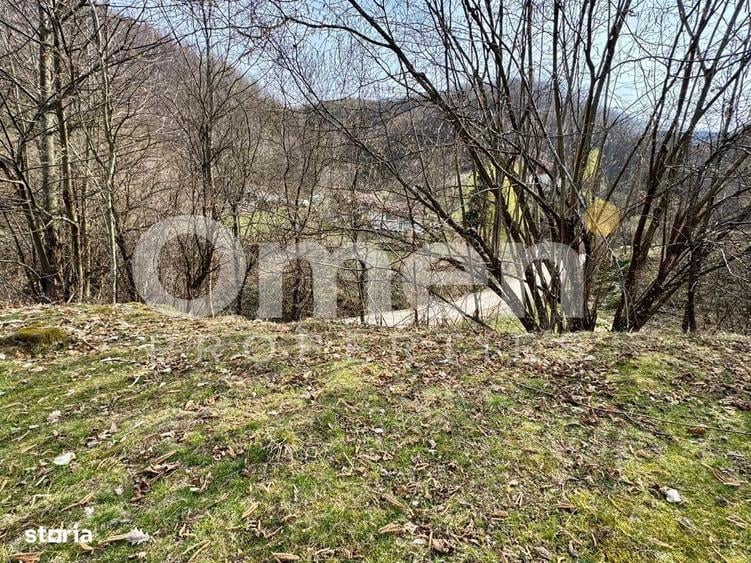 Teren intravilan | 637 mp | Ulmoasa | zona superba - 6