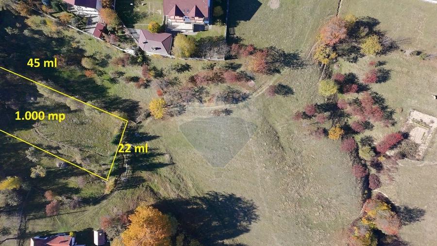 Teren de Vis in Bran - 1000mp Plat, Liniste Absoluta si Aer Curat - 2