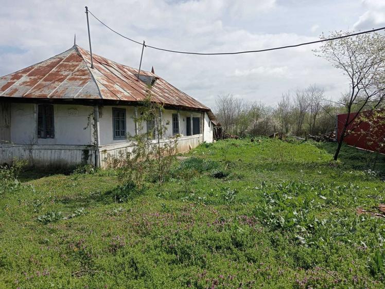 Teren 450/900cu utilitati si casa DN1 Ciolpani URGENT - 8