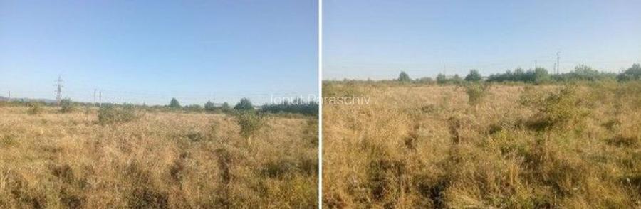 Targu Neamt, Punct Manesti, cota parte 1/2, ID: R2759107