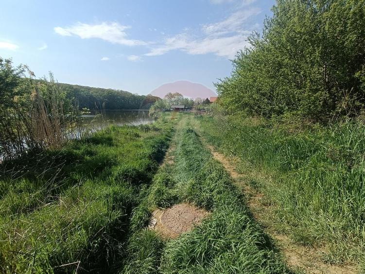 Vanzare Teren Constructii Langa Lac și Padure | Branesti | Ocazie! - 4