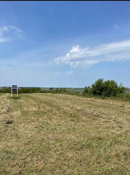 Teren de vanzare - 3