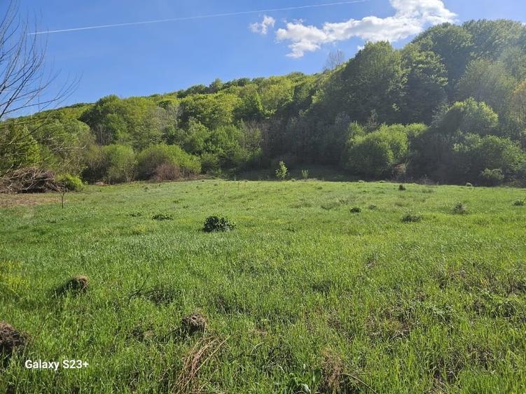 Teren Construcții intravilan de 2158 mp, în Groși