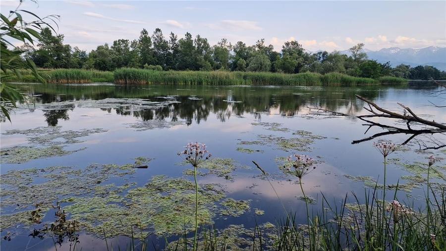 Oferta teren 5820mp optim casa  de vacanta -zona lacuri private Colun - 25