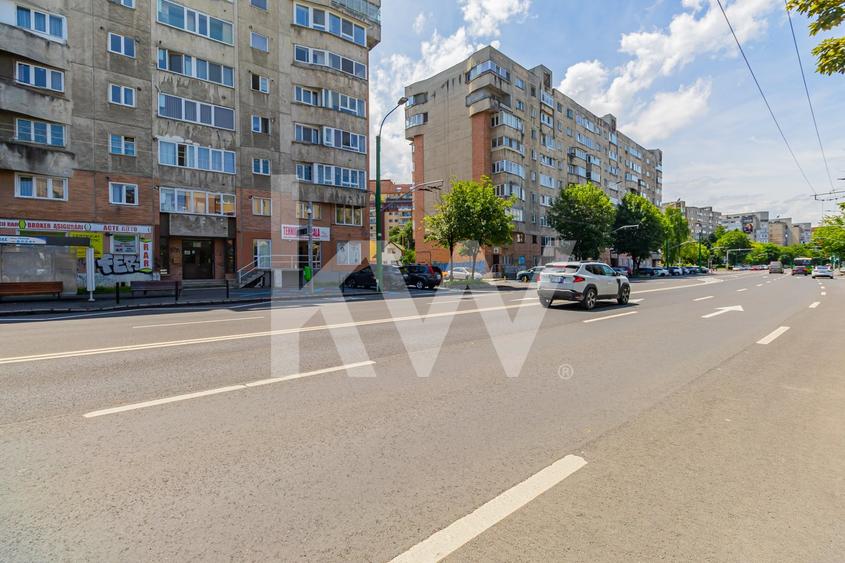 Vânzare apartament cu 2 camere, Strada Zizinului - zona Scriitorilor - 10