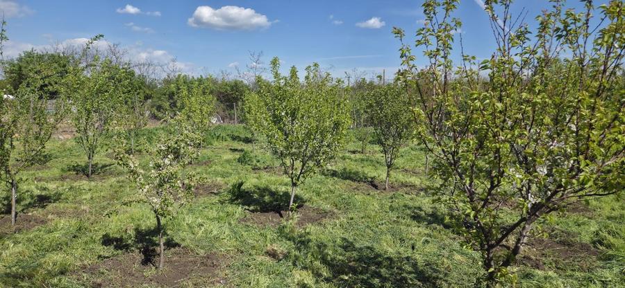 Vand proprietate   - 6