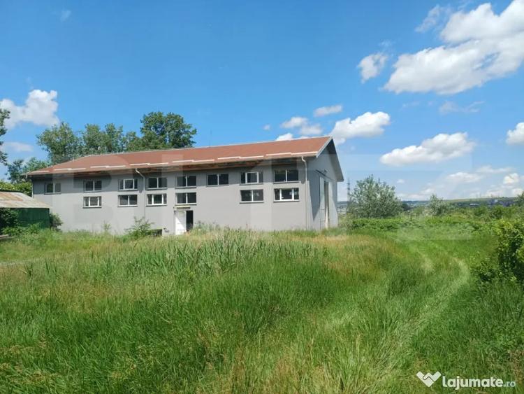 Hala industriala/depozitare, 411 mp, 7 ari teren, zona Bur - 5