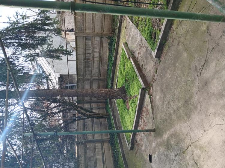 Proprietar vand urgent casa in zona f buna - 2