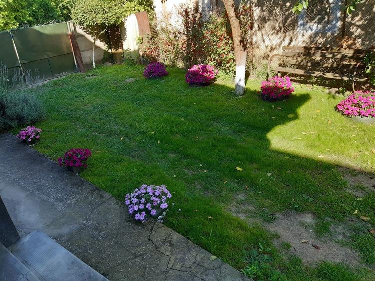 Vand casa la tara, in localitatea Ciugudu de Jos,Unirea, jud .Alba . - 1