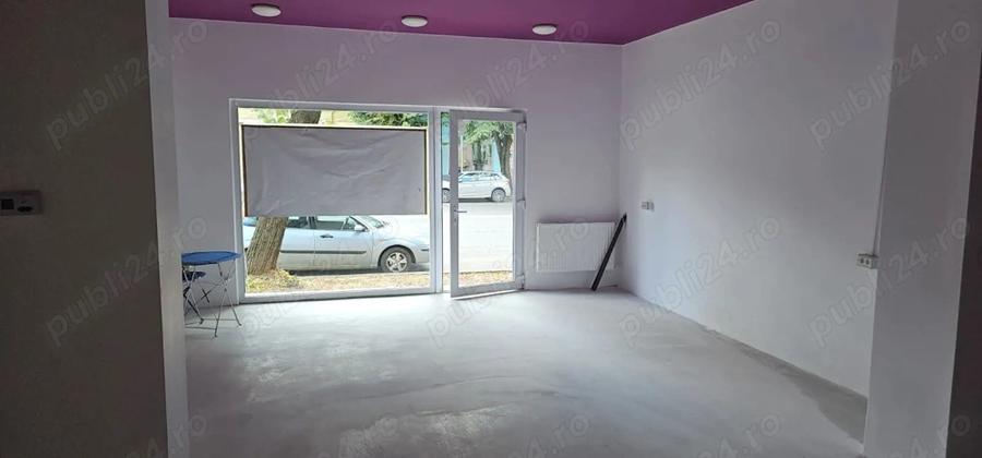 Spatiu comercial de inchiriat - 1