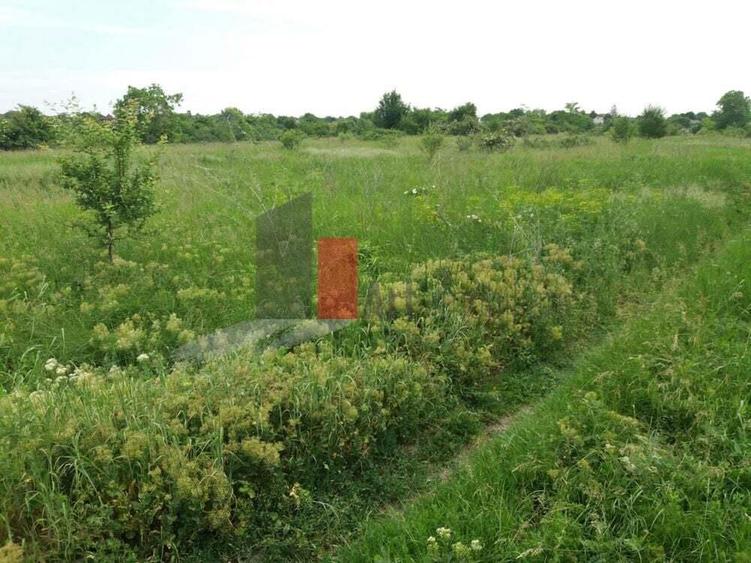 Teren Buftea cu iesire la lac - 10