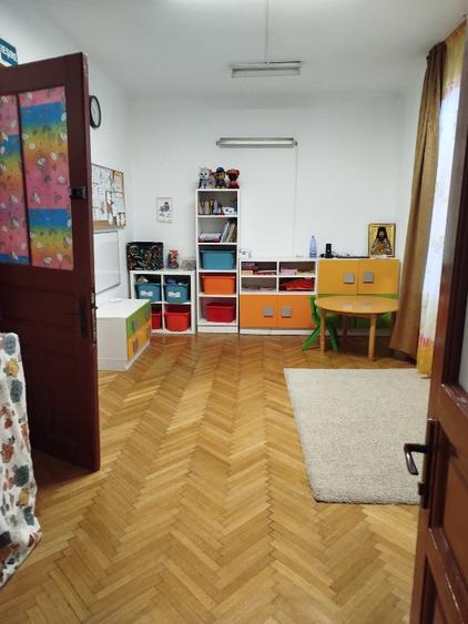 Spatiu mare si parcare vila unica cu prestanta in locatie eleganta Pache Mosilor - 12