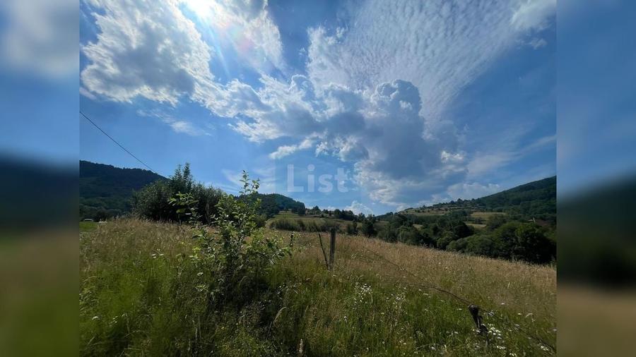 Teren agricol extravilan de 20000 mp, în Săcuieu