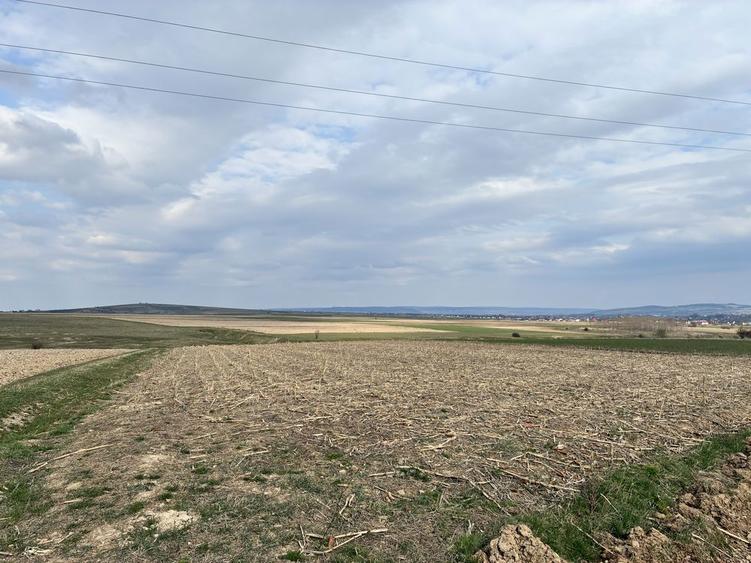 De vanzare doua parcele de teren zona Huciul Lanului , drumul spre Botnareni - 6