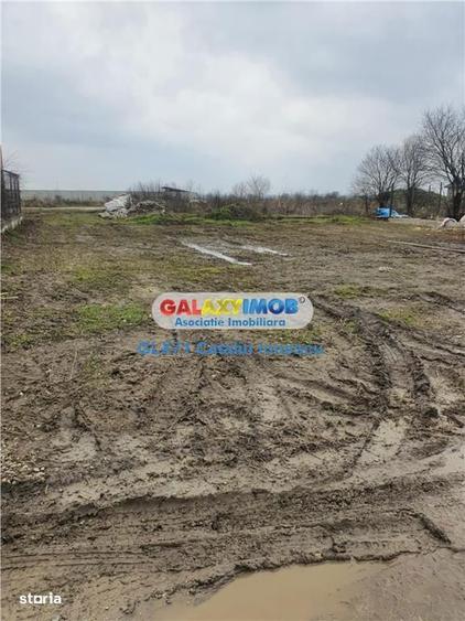Vanzare teren intravilan Domnesti Teghes - 6