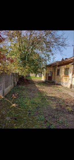 Casa din caramida + teren 3840 mp in Mazili, Valcea - 4