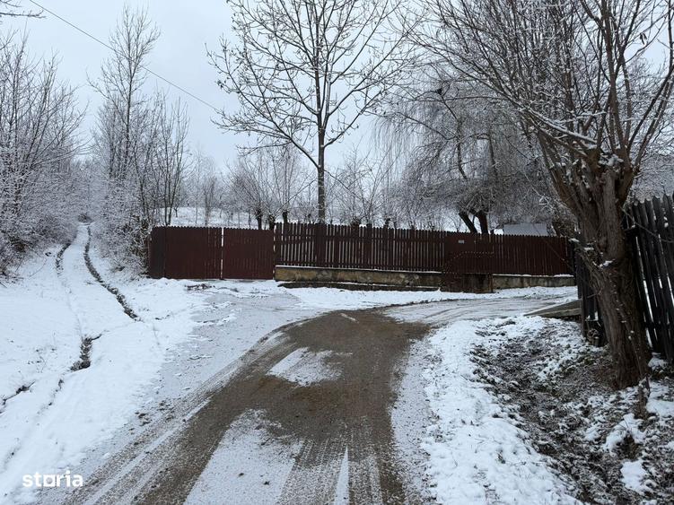 Provi?a de Jos - teren 3824mp - 18 Euro/mp Neg. - 4