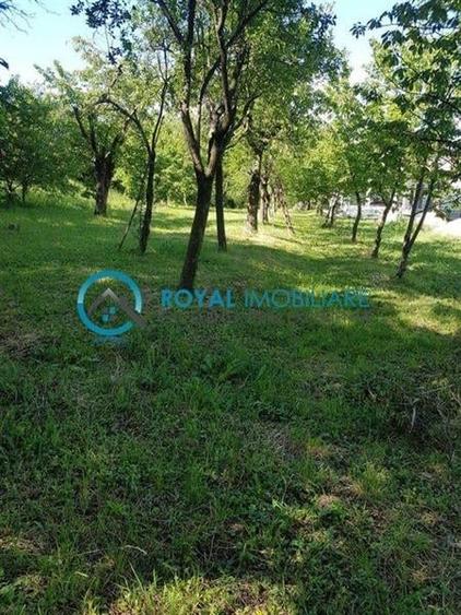 Royal Imobiliare - Vanzare Teren zona Paulesti - 4