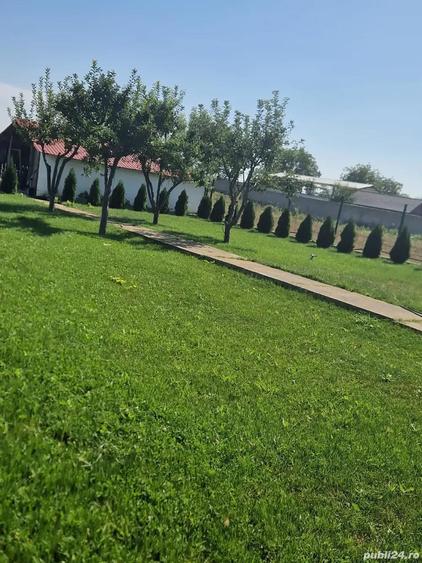 A 49 Vila LUX Letea , 320 mp utili cu 2294 mp teren intravilan - 5