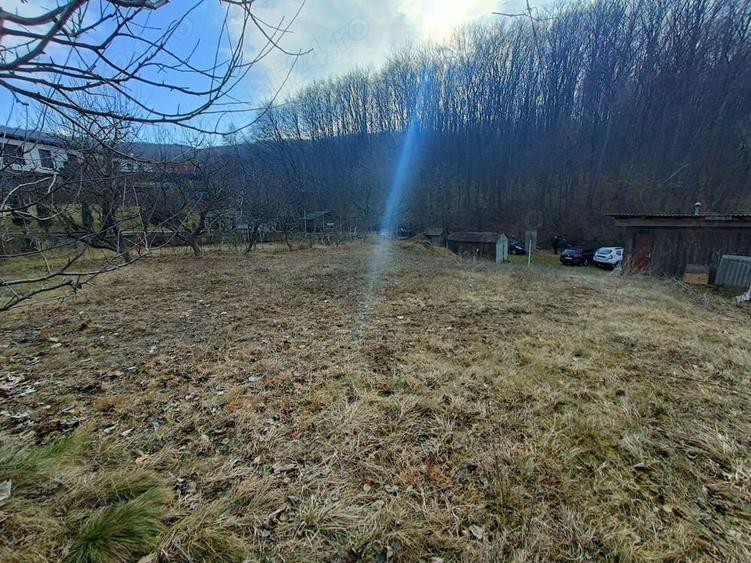 Teren intravilan pentru constructie casa, Faget - 6