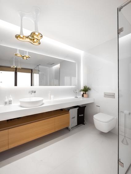 LUXURY VILLA! Bijuterie unica in Domenii, garaj subteran 108 mp, terase, curte! - 24