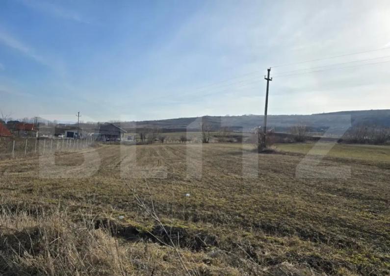 Teren extravilan de vanzare, 1.113 mp, zona-Valea Chintaului - 2