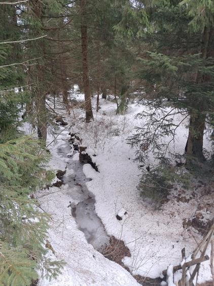 Vand casa de vacantă Dealu Negru, Călățele pădure. - 6
