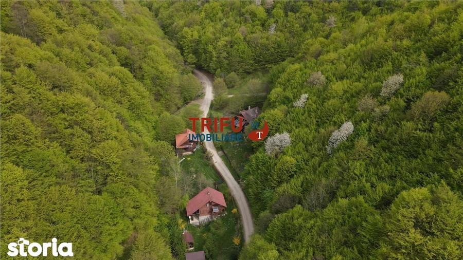 Casa de vacan?a la padure | Teren 891 mp | Valea Ighielului - 4