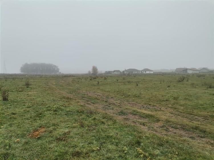 RECO Teren intravilan in Biharia - 3