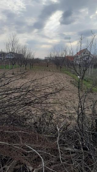 Teren + casa batraneasca - 1