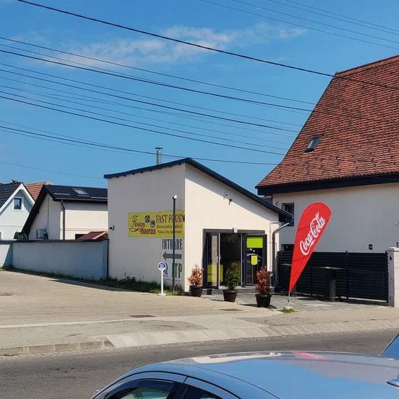 Imobil individual de vanzare | 29 mp | -Vasile Aaron - 2