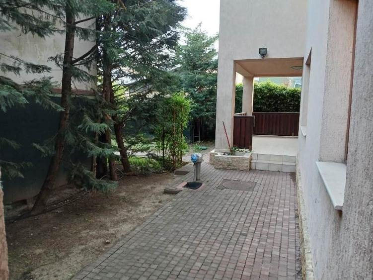 Inchiriere Vila individuala Berceni-Giurgiului - 14