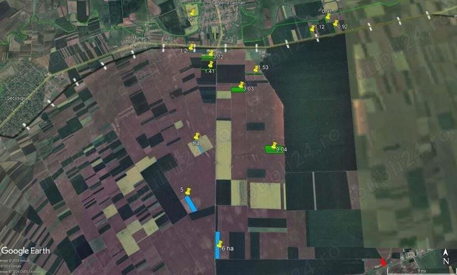 45 ha Sanpetru German - teren arabil de cea mai buna calitate - - 5