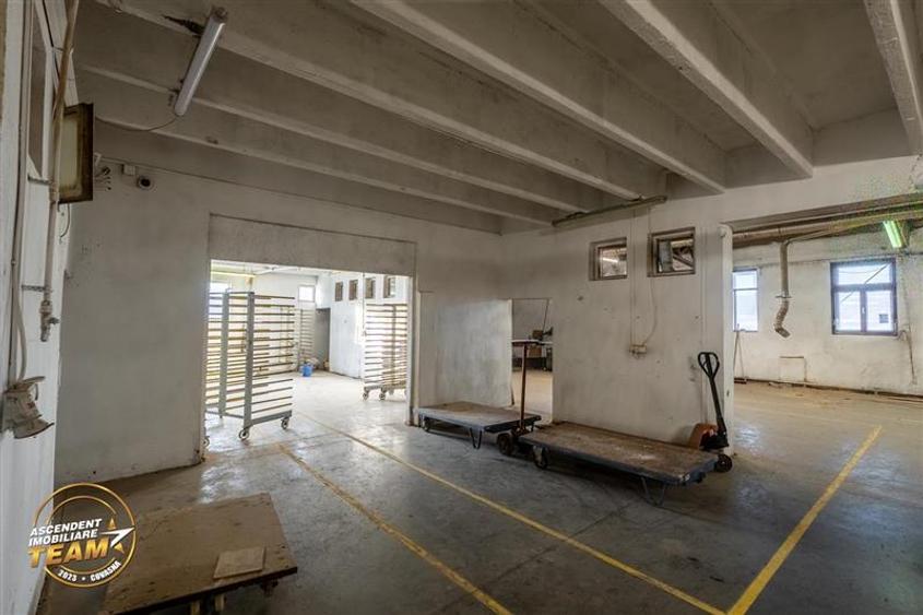 Complex industrial modern, acces dublu, potential apreciabil, Valea Crisului, Sf - 6