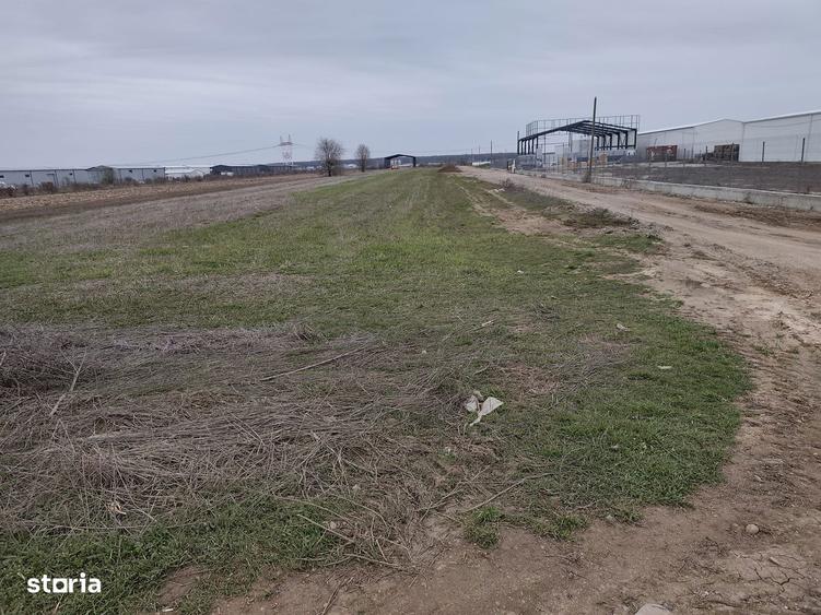 Fara Comisioane Loturi Teren Constructii Hale In Zona De Hale Merita V - 5