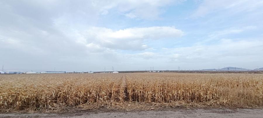 Teren intravilan industrial,str.Durau - 5