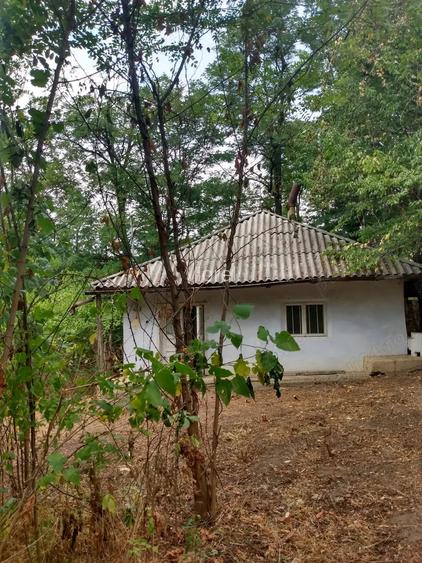 Vand casa in Crasna, Vaslui