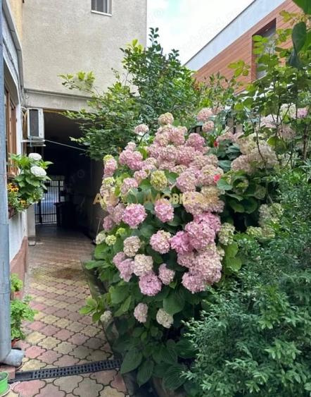 2 Camere de inchiriat | Muncii | Metrou | Centrala Proprie - 7