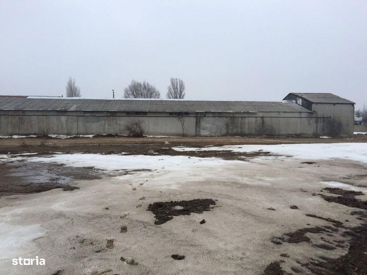 Hala zona Baldovinesti - 2